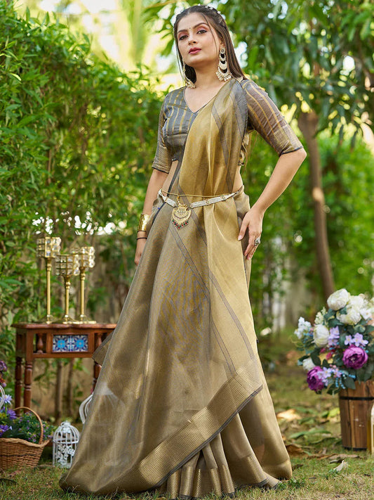 Classic Grey Tissue Saree with Matching Blouse