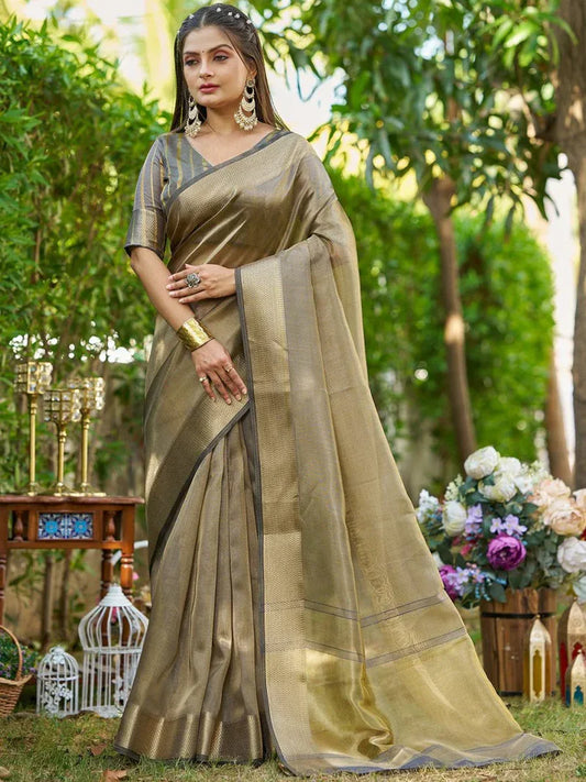 Classic Grey Tissue Saree with Matching Blouse